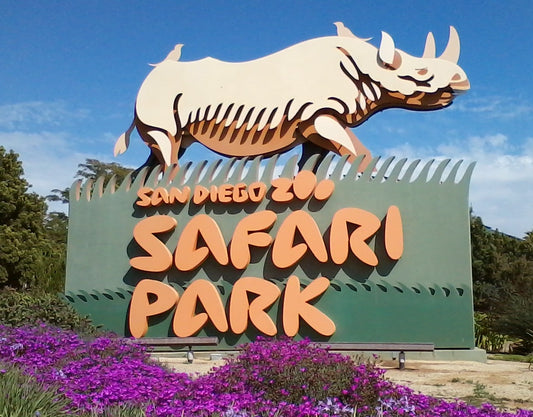 Zoo and Aquarium Adventures: Spring Break Edition