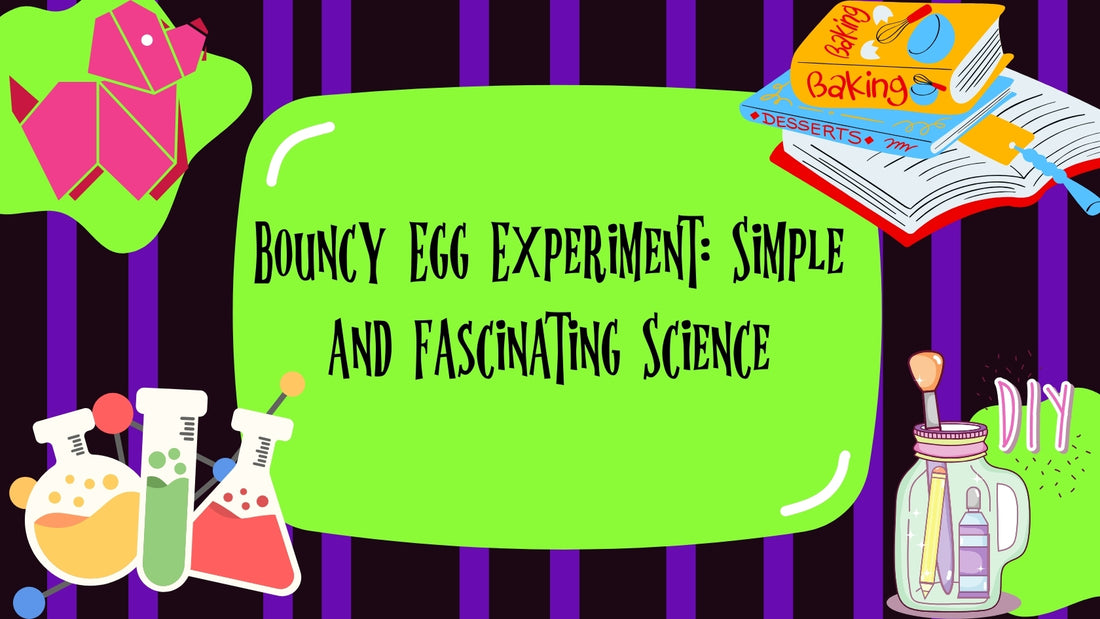Bouncy Egg Experiment: Simple and Fascinating Science
