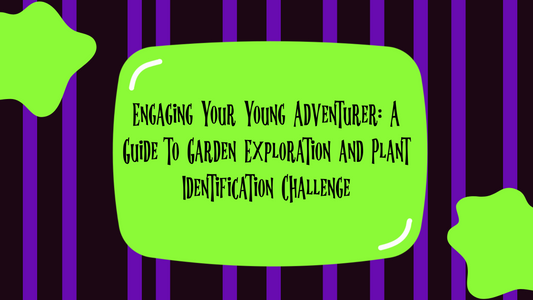 Engaging Your Young Adventurer: A Guide to Garden Exploration and Plant Identification Challenge